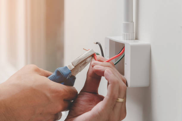 Best Electrical Panel Upgrades  in Franklin, LA